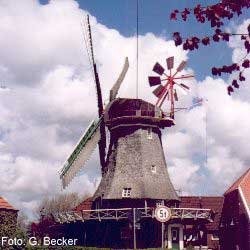 Windmühle in Accum